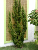 /album/galeria-de-fotos/ogaaadqe0xokw5mzkctnlbph3vsm3s6wjtayfjlk97-h-0u699v6wmggdjj6zeycmccm6jfhott5l-14sbee-cdcghiam1t1uiuau-jhnyyav-urxmisulrz8mqk-jpg/