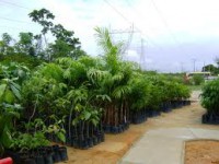 /album/galeria-de-fotos/nb-jpg/