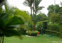 /album/galeria-de-fotos/jardinagem-e-paisagismo-residencial-jpg/