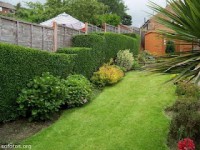 /album/galeria-de-fotos/paisagismo-e-jardinagem-28-jpg/